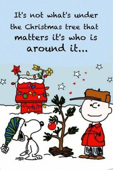 Snoopy Christmas Quotes, December Quotes, Tree Quotes, Christmas Bible, Brown Christmas, Snoopy Quotes, Peanuts Christmas, Holiday Quotes, Celebrating Christmas