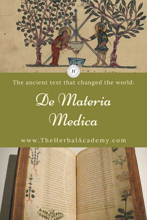 De Materia Medica: The Ancient Text that Changed the World | Herbal Academy | De Materia Medica, Latin for “On Medical Material” is a surviving text from the first century written by Pedanius Dioscorides (c. 40-90 CE). Medicinal Herbs Remedies, Ancient Text, Herbal Academy, Herbal Education, Healthy Herbs, Medicine Book, Healing Plants, Diy Body Care, Holistic Remedies