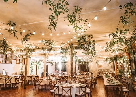 Indoor Garden Wedding Reception, Indoor Fall Wedding, Hanging Lights Wedding, Indoor Garden Wedding, Wedding Reception Lighting, Garden Winter, Wedding Hall Decorations, Indoor Wedding Receptions, Wedding Venue Decor