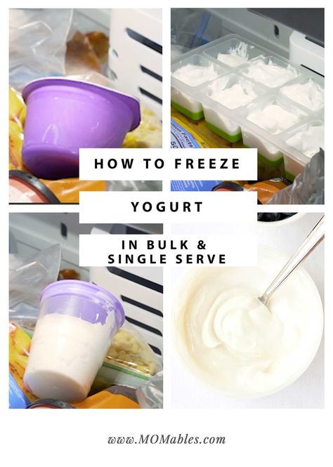 Freeze Yogurt, Freezing Yogurt, Berry Smoothie With Yogurt, Triple Berry Smoothie, Freezing Vegetables, Frozen Greek Yogurt, Real Food Snacks, Homemade Greek Yogurt, Smoothie Recipes With Yogurt