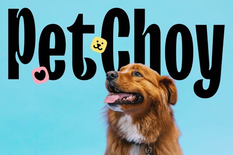 Quirky Photography, Pet Branding, Social Art, Dog Branding, Cat Icon, Custom Templates, Packaging Design Inspiration, Animals Images, Design Agency