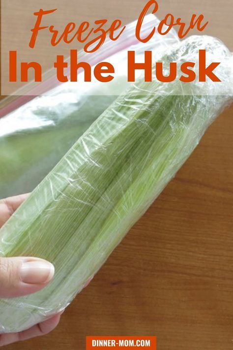 How To Freeze Corn On The Cob In The Husk, Freeze Sweet Corn On The Cob, Freezing Corn On The Cob In The Husk, Freeze Corn In The Husk, Freezing Corn On The Cob, Keto Receipts, Freezing Fresh Corn, Freezing Food Guide, Freezing Veggies