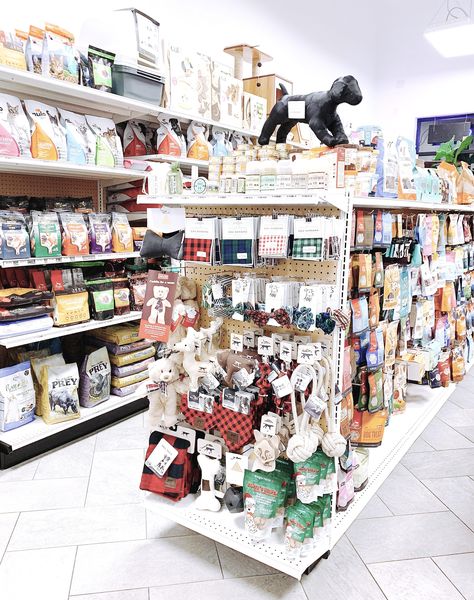 🐾 At Hound & Cat we are very proud to offer a highly curated selection of only the best & most on trend natural dog & cat foods, treats, supplies, supplements, toys, furniture & much more. If we wouldn't give it to our pets, you won't find it here. If you ever have questions, come visit us! Pet Store Design Ideas, Zoo Marketing, Pet Smart Store, Petshop Design Pet Store, Pet Store Display, Pet Food Store, Pet Store Design, Small Dog Accessories, Pet Store Ideas