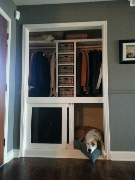 Built in dog crate. The bottom half of our entry closet wasn't being used. So instead of having those ugly metal crates sitting in our sunroom, my husband and i decided to build this. We were able to add a small shelving system in the middle to hold dog accessories, scarves, gloves, and winter hats. Dog House Closet Ideas, Closet Converted To Dog Kennel, Dog Crate Closet Ideas, Built In Dog Kennel Closet, Built In Dog Kennel Bedroom, Dog Bedroom In Closet, Dog Kennels In Closet, Coat Closet Dog Kennel, Built In Dog Crate Bedroom