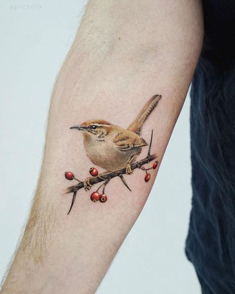 Ola | tattoo artist on Instagram: “A Winter Wren for Reiner, thank you! #birdtattoo #realismtattoo #wren” Bird Arm Tattoos For Women, Tattoos For Women Forearm, Wren Tattoo, Arm Tattoos For Women Forearm, Tattoos Colorful, Wren Bird, Colorful Tattoos, Tattoo On Forearm, Tatoo Inspiration