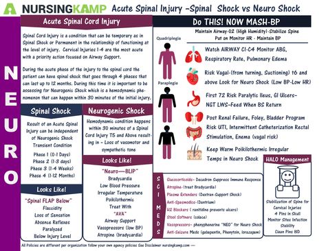 Spinal Shock vs Neurogenic Shock Neurogenic Shock Nursing, Spinal Shock Vs Neurogenic Shock, Neurological Disorders Nursing, Nursing Shock, Neurogenic Shock, Memes Nursing, Rehab Nursing, Nursing Pictures, Med Surg Nursing