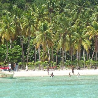 Haitian beaches are the best! Haiti Nature, Haiti City, Haitian Beaches, Haitian Pikliz, Haiti Beaches, Haiti History, Haiti Streets, Caribbean Beaches, Princess Cruises