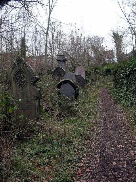 Overgrown Old Cemetery, Cemetery Headstones, Old Cemeteries, Cemetery Art, South Yorkshire, Yorkshire England, Haunted Places, Six Feet Under, Grave Marker