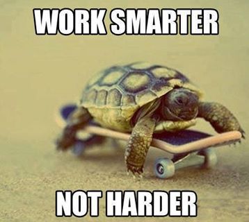 WORK SMARTER NOT HARDER Turtles Funny, Work Smarter Not Harder, Work Quotes Funny, Smarter Not Harder, A Turtle, Work Memes, Work Smarter, Work Humor, Really Funny Pictures