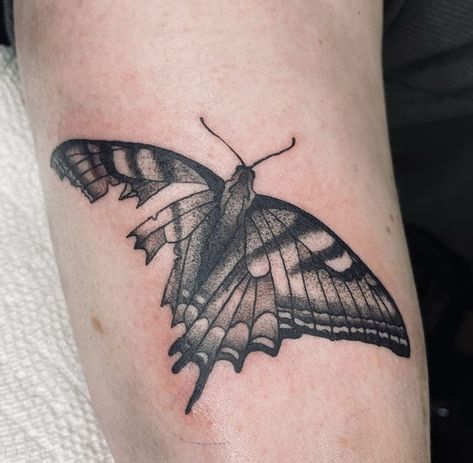 Tattered Butterfly Tattoo, Swallow Tail Butterfly Tattoo, Birds Of A Feather Tattoo, Broken Butterfly, Antler Tattoos, Butterfly Wing Tattoo, Trippy Tattoo, Left Arm Tattoos, Bike Tattoos