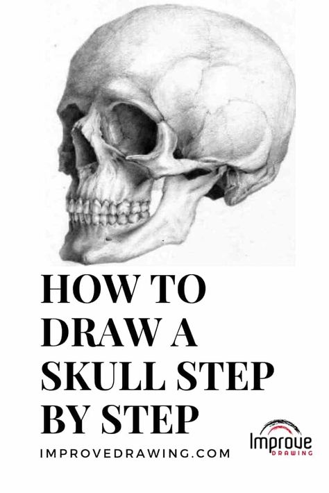 How to Draw a Skull: A Step by Step Guide Skull Tutorial, Draw A Skull, Easy Skull Drawings, Cool Skull Drawings, Improve Drawings, Skull With Flowers, Skull Sketch, Skull Art Drawing, Easy Drawing Tutorial