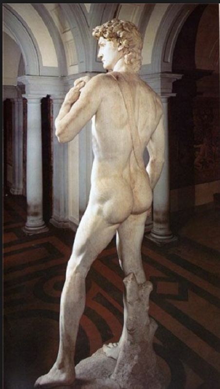 Michelangelo Tattoo, David Michelangelo, David Sculpture, Florence Italy Travel, Cradle Of Civilization, Roman Sculpture, Fly On The Wall, Web Gallery, Sistine Chapel