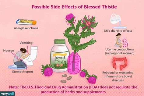 Blessed Thistle Benefits, Thistle Benefits, Breast Milk Production, Breast Milk Supply, Blessed Thistle, Increase Breastmilk, Breastmilk Supply, Milk Production, Milk Supply