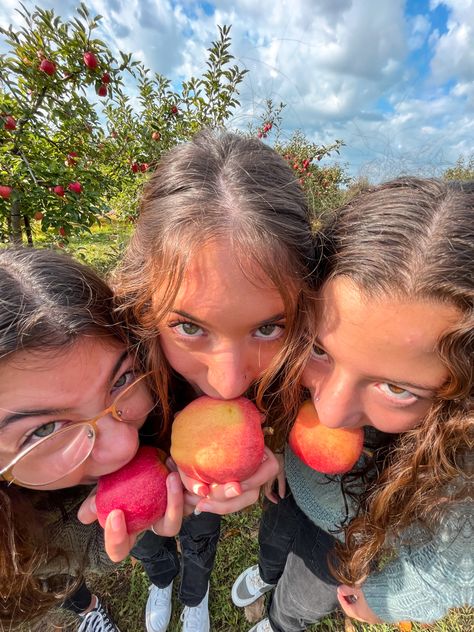 Apple Picking Pictures, Apple Orchard Pictures, Apple Picking Photos, Pumpkin Patch Pictures, Fall Friends, Autumn Instagram, Friend Poses Photography, Fall Inspo, Apple Orchard