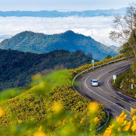 Mae Hong Son Loop, Doi Inthanon National Park, Mae Hong Son, Walking Street, Northern Thailand, Four Days, The Monks, Scenic Drive, The Trip