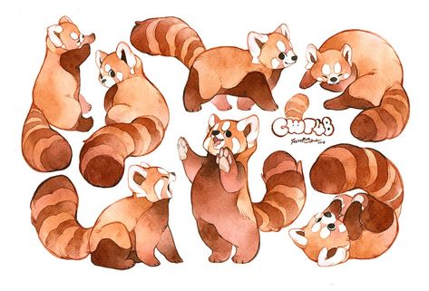 Panda Drawing, Panda Art, Red Pandas, 캐릭터 드로잉, Animal Drawing, Animal References, Arte Sketchbook, Dessin Adorable, Animal Sketches