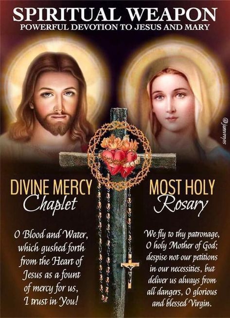 (22) JONATHAN RICARD on Twitter: "@erics_truelove https://t.co/rrasEpQMm6" / Twitter The Divine Mercy Chaplet, The Chaplet Of Divine Mercy, Divine Mercy Chaplet Prayer, Holy Rosary Prayer, Chaplet Of Divine Mercy, Rosary Quotes, Sacred Heart Devotion, Rosary Prayers, Divine Mercy Rosary