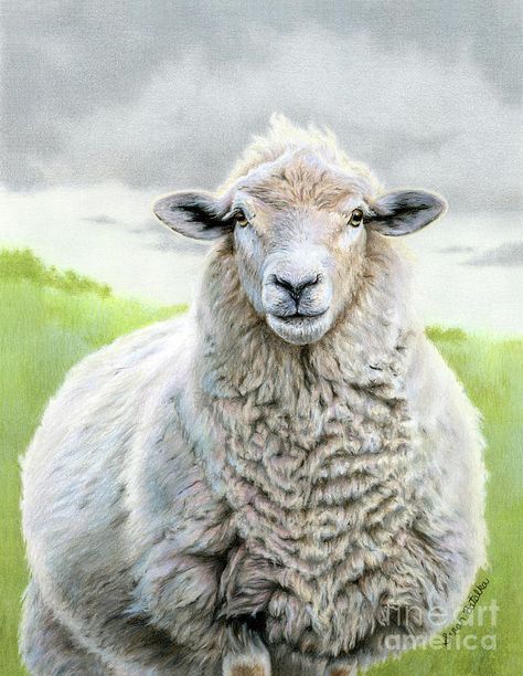 Farm Animal Paintings, Sheep Drawing, Sheep Face, Sheep Paintings, Easy Painting Ideas, Sheep Art, Wood Prints, Sheep And Lamb, Farm Art