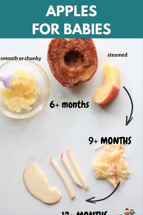 Learn how to safely prepare and serve apple to babies as early as 6 months! You can puree or offer as a finger food for baby led weaning. Apples For 6 Month Old, Finger Food 6 Month Old, Blw Apples, 7 Month Old Snacks, Apple For Baby, Apple Blw Recipes, Finger Foods For Baby, Baby Led Weaning 6 Months, Apple Puree For Baby