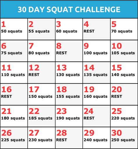 39 day squat challenge Squats Video, 30 Day Squat, 30 Day Squat Challenge, Beginner Workouts, Office Exercise, Squat Challenge, 1200 Calories, 30 Day Challenge, Workout For Beginners