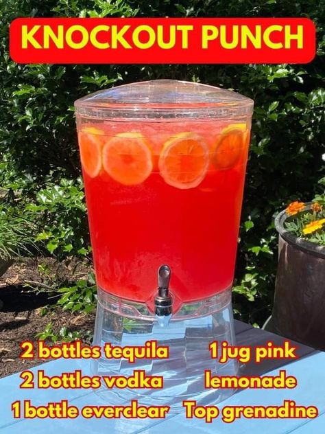 Jungle Juice Recipe Alcoholic Easy, Halloween Jungle Juice Recipe Alcoholic, Jungle Juice Recipe Alcoholic Parties, Jug Cocktail Recipes, Pink Jungle Juice, Jungle Juice Recipe Alcoholic, Easy Jungle Juice Recipe, Simple Jungle Juice Recipe, Everclear Drinks