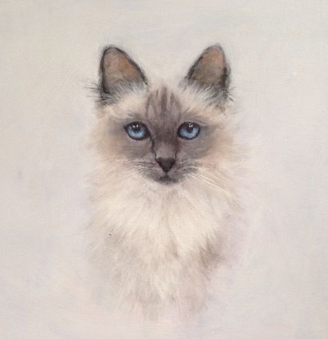 "Ragdoll cat" 12x12" acrylic painting on canvas by lisa shearing Cat Portrait Painting, Ragdoll Cat, Acrylic Painting On Canvas, Lucky Cat, Cat Portraits, Kitty Cats, Cat Painting, Acrylic Painting Canvas, So Beautiful