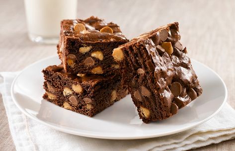 This delectable Double Chip Brownies recipe combines CHIPITS Milk Chocolate Chips and CHIPITS REESE Peanut Butter Chips for a mouth-watering experience! Peanut Butter Chip Brownies, Popular Cookies, Brownies Recipe, Reeses Peanut Butter, Baked Chips, Peanut Butter Chips, Chocolate Dessert, Milk Chocolate Chips, Food Magazine