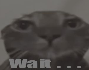 Wait Wait Im Goated, Waiting Meme, Wait What, I'll Wait, Funny Doodles, Crazy Funny, Crazy Funny Videos, Pretty Cats, Funny Gif