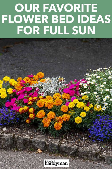 Front Flower Bed Ideas Full Sun, Annual Flower Beds Design, Annual Flower Beds, Full Sun Landscaping, Full Sun Annuals, Full Sun Flowers, Garden Aesthetics, Colorful Flower Beds, Flower Bed Plants