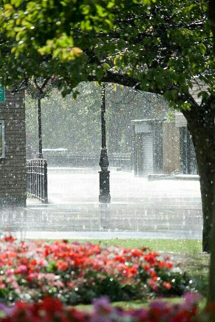 oh the glorious. the time is here again Its Raining Its Pouring, Rainy Friday, Smell Of Rain, I Love Rain, Rainbow Rain, Love Rain, Walking In The Rain, Singing In The Rain, Rainy Night