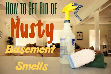 How to Get Rid of Musty Basement Smells Basement Odor Eliminator, Musty Smell In House, Old House Smells, Basement Odor, Mold Smell, Basement Window, Smell Remover, Carpet Smell, Old Basement