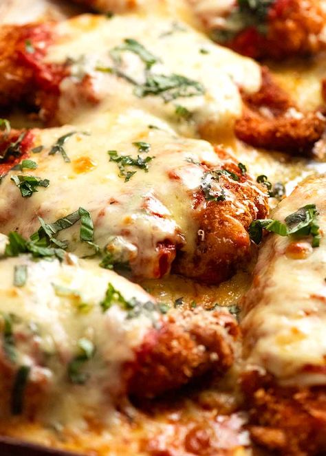 Close up of tray of Chicken Parmigiana (Chicken Parmesan), fresh out of the oven Parmigiana Chicken, Chicken Parmigiana Recipe, Tin Eats, Meat Entrees, Oven Baked Chicken Parmesan, Baked Chicken Tenders, Chicken Parmigiana, Recipetin Eats, Parmesan Recipes