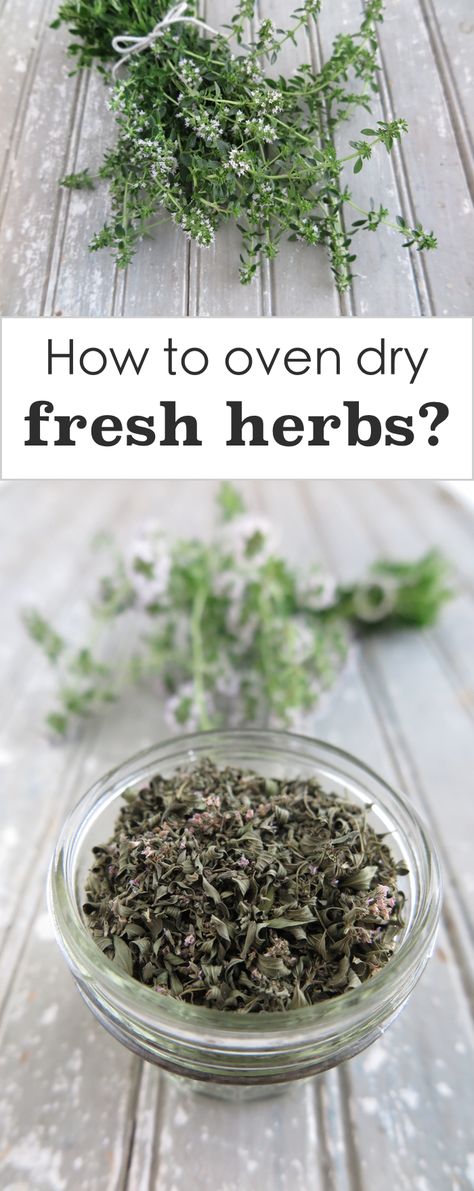 Dry Fresh Herbs, Store Fresh Herbs, Drying Fresh Herbs, Preserving Herbs, Dry Herbs, Herbs Garden, Herb Gardening, Autoimmune Protocol, Garden Types