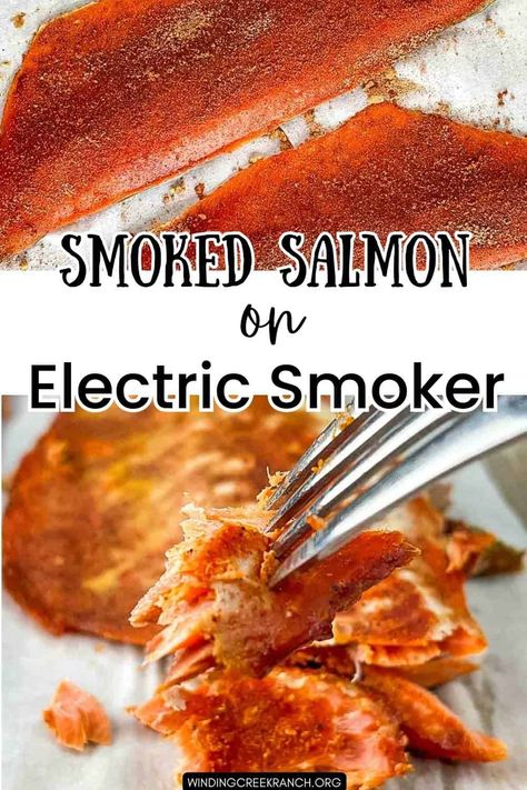 Easy Masterbuilt Smoker Salmon Recipe Salmon In A Smoker, Smoked Salmon Recipes Electric Smoker, Smoker Salmon, Smoked Fish Recipe, Smoked Jerky, Smoked Ham Recipe, Best Smoked Salmon, Smoker Recipes Electric, Masterbuilt Smoker