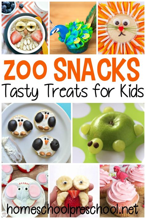 More Than 10 Paper Plate Frog Crafts for Preschool Zoo Snacks, Zoo Activities Preschool, Snacks For Preschoolers, Animal Themed Food, Zoo Lessons, Zoo Animals Preschool, Preschool Zoo Theme, Food Ideas For Kids, Preschool Food