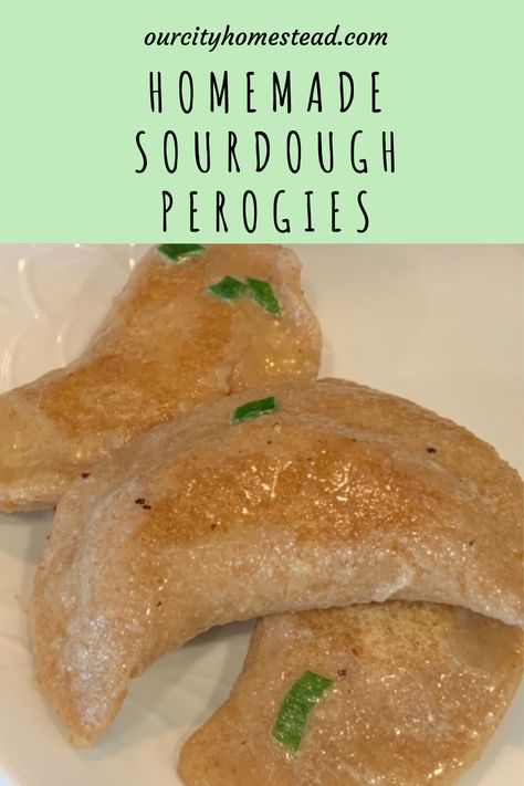 Sourdough Discard Perogies, Sourdough Perogies Recipe, Sourdough Pierogi Dough, Sourdough Pierogi, Sourdough Perogies, City Homestead, Farmhouse Cooking, Perogies Recipe, Recipe Using Sourdough Starter