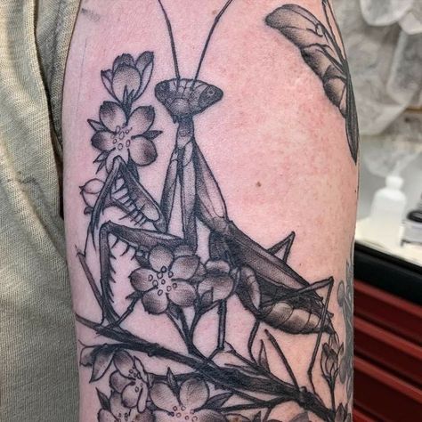 Praying Mantis Drawing Tattoos, Praying Mantis Tattoo Beautiful, Praying Mantis Tattoo Design, Flora Fauna Tattoo, Prey Mantis Tattoo, Pray Mantis Tattoo, Praying Mantis Tattoo Traditional, Praying Mantis Tattoo Simple, Insect Tattoo Sleeve