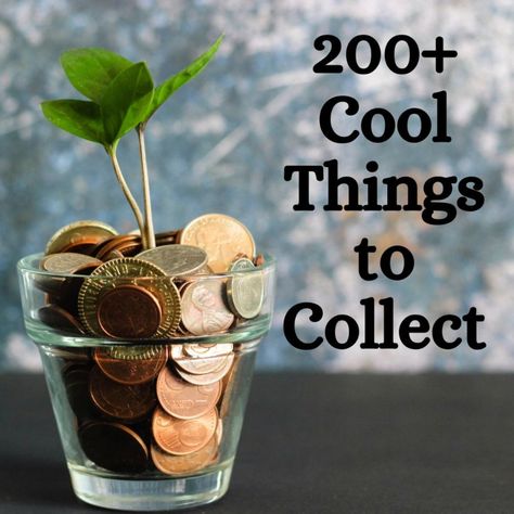 Almost anything can be collected, so if you're looking to get into collecting as a hobby, then look no further than this article for some good collecting ideas. Cool Things To Collect, Things To Collect, Toy Collection Display, Finding A New Hobby, Corkboard Ideas Decor, Signature Ideas, Sale Flyer, Cool Things, Travel Souvenirs