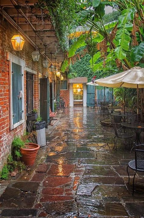 New Orleans Brick Courtyard, New Orleans Courtyard Ideas, New Orleans Patio, Tropical House Exterior, New Orleans Courtyard, Kim Parker, Brick Courtyard, French Creole, Brick Pathway