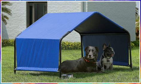 ShelterLogic 4' x 4' x 3' Outdoor Pet Shade and Sun Shelter, Blue Shade For Dogs, Dog Tent, Shade House, Dog Yard, Sun Dogs, Sun Shelter, Dog Pin, Small Animals, Canopy Tent