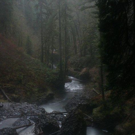 Trees, Forest, Running, Tumblr, Water, Nature