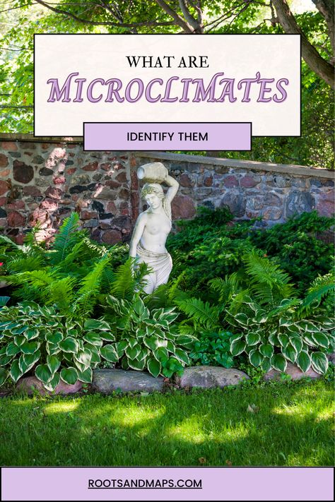 Microclimates are small areas that have different climates and growing conditions than other parts of the garden. They are perfect opportunities for something new and different. Garden Microclimate, East Facing Garden, Garden Areas, West Facing Garden, Climate Zones, Some Like It Hot, Master Gardener, Water Bodies, Wildlife Habitat