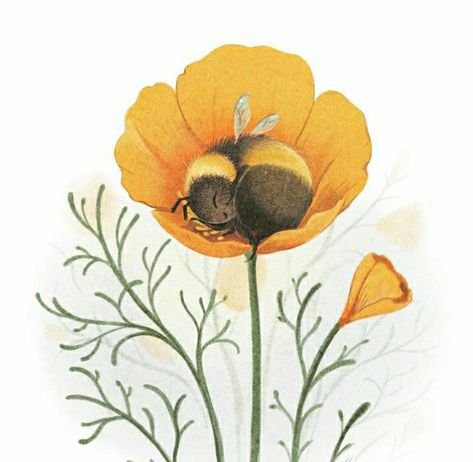 sydwiki instagram Bee Sleeping In Flower, Flower Petal Art, Bumble Bee Tattoo, Terrible Puns, Bee Tattoo, California Poppy, Flower Illustration, Writing Activities, Flower Petals