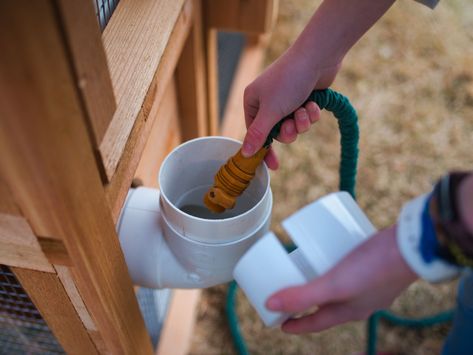 Roost & Root is proud to offer quality backyard farm and garden lifestyle products. Check out their Easy Fill Waterer | Stand-Up . Urban Chicken Farming, Best Egg Laying Chickens, Portable Chicken Coop, Urban Backyard, Egg Laying Chickens, Chicken Waterer, Urban Chickens, Chicken Farming, Backyard Chicken Farming