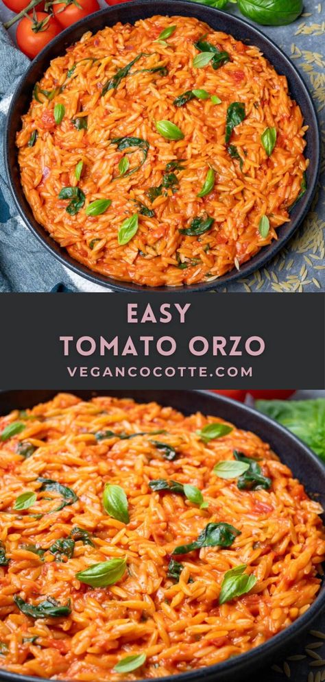 Easy Tomato Orzo Salty Meals, Orzo Tomato, Vegan Cocotte, Orzo Dinner Recipes, Cocotte Recipes, Uni Meals, Tomato Orzo, Orzo Pasta Recipes, Meatless Dinners