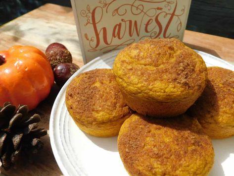 Kodiak Pumpkin Muffins Kodiak Pumpkin Muffins, Kodiak Pumpkin, Pumpkin Pancake Mix, Pancake Mix Muffins, Kodiak Cakes Recipe, Weight Watchers Muffins, Pumpkin Pancake, Weight Watchers Pumpkin, Pumpkin Spice Pancakes