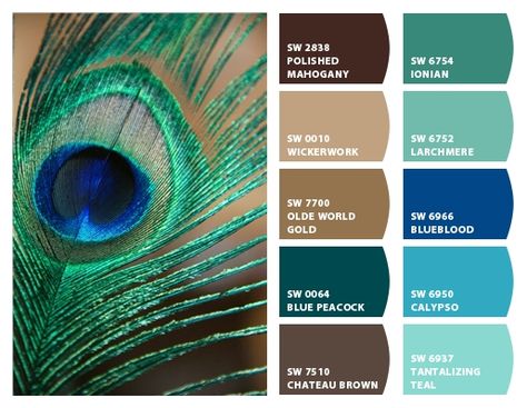 Peacock Colour Scheme, Color Organization Closet, Peacock Paint Colors, Peacock Color Palette, Peacock Palette, Peacock Color Scheme, Dining Room Colour Schemes, Bedroom Colour Palette, Paint Color Schemes