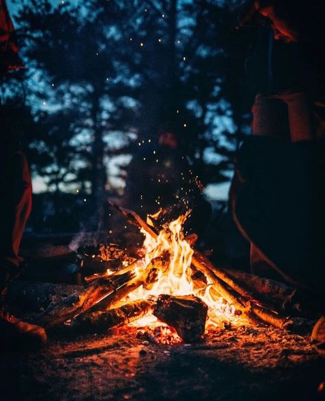 Great Lakes (@greatlakesco) • Instagram photos and videos Forest Campfire, Life Is Difficult, Students Life, Camping Photo, Drama Ideas, Struggling Students, Alaskan Cruise, Night Forest, Group Of Friends