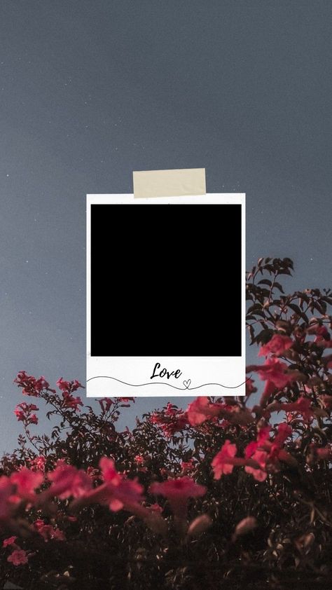 Love Polaroid Template, Love Photo Frame Background, Background For Couple Photo Editing, Couple Ig Story Ideas Template, Love Collage Couple, Love Template Background, Couple Templates Instagram Stories, Love Instagram Story Ideas, Love Templates Instagram Stories