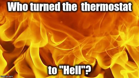 Summer Heat Humor, Weather Humor, Weather Jokes, Off Color Humor, Hot Weather Humor, Weather Memes, Hate Summer, Funny Weather, Weather Quotes